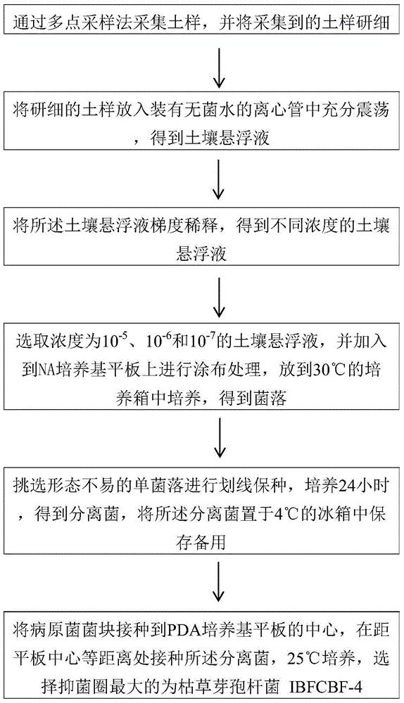 一株枯草芽孢杆菌菌株及其应用