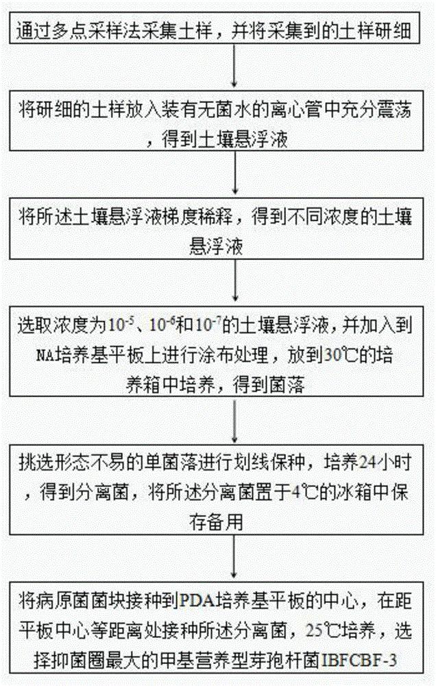 甲基营养型芽孢杆菌及其发酵培养方法、生防菌剂、应用